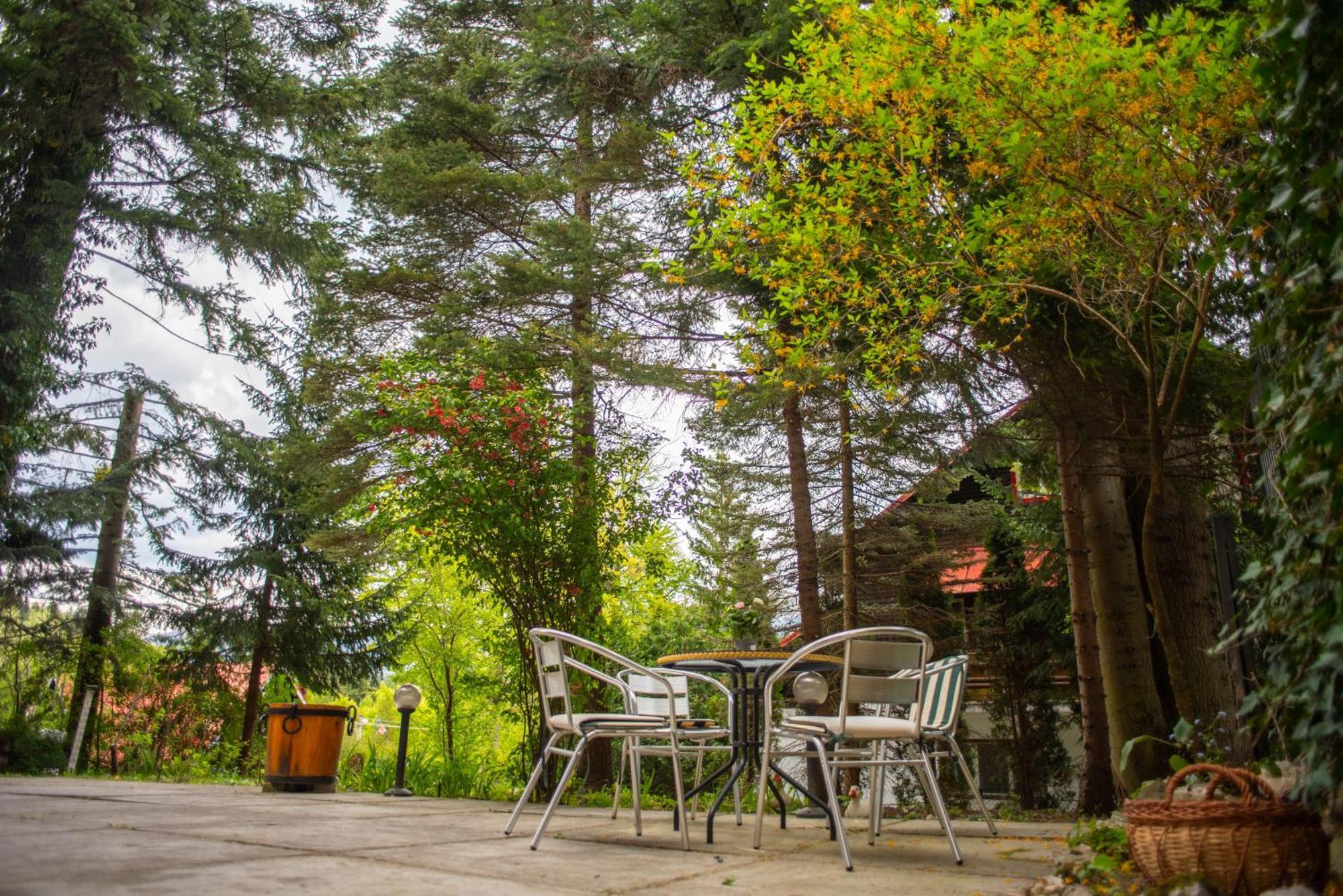 Villa Sara In Sinaia Near Peles & Gondola Buitenkant foto